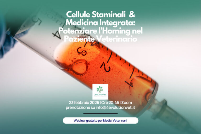 Cellule-staminali
