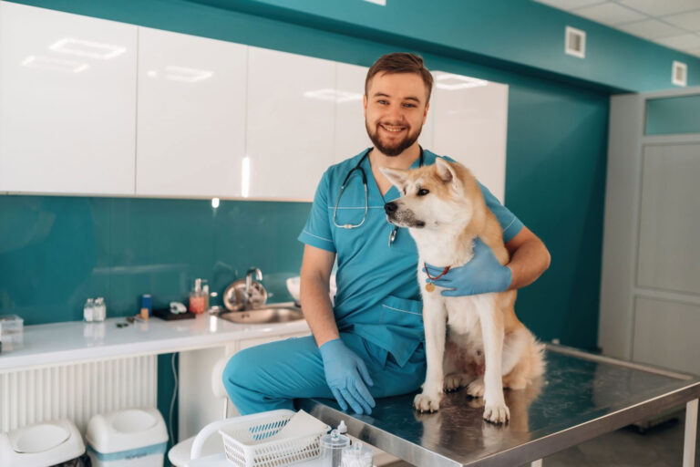 Come-scegliere-il-veterinario-giusto-per-il-tuo-cane-o-gatto