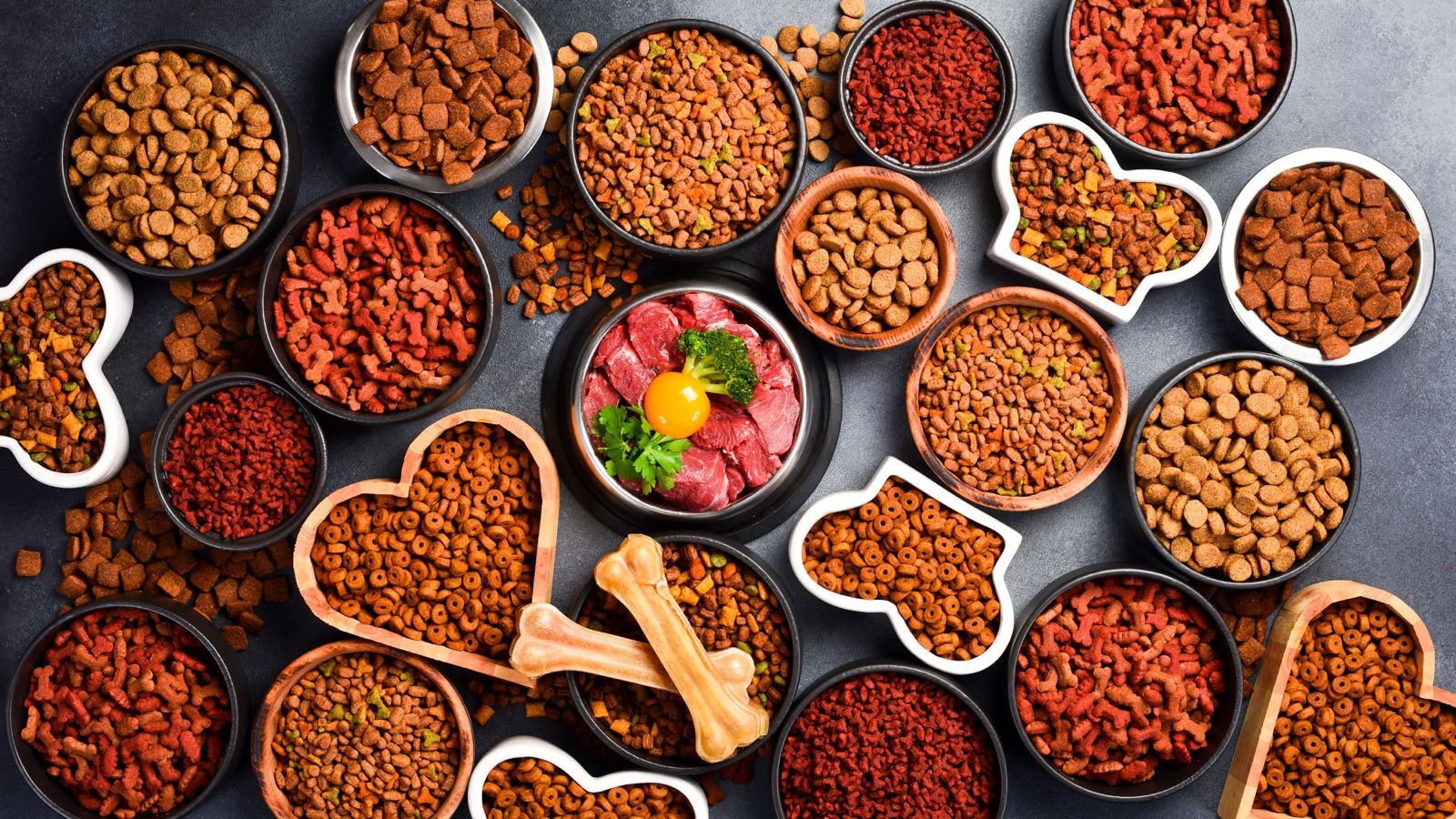 Crocchette per cani: come scegliere quelle giuste