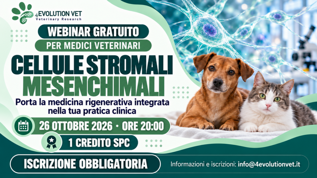 Webinar gratuito per veterinari: cellule stromali mesenchimali,