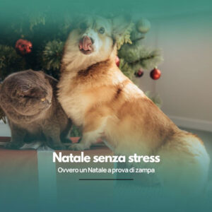 Natale senza stress! Ovvero un Natale a prova di zampa