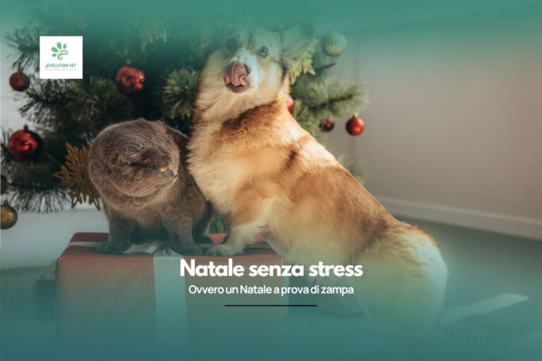 natale-senza-stress